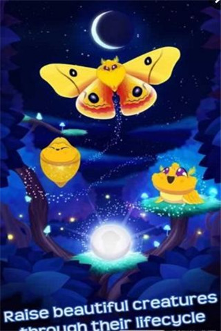 蝴蝶之星夜游戏截图