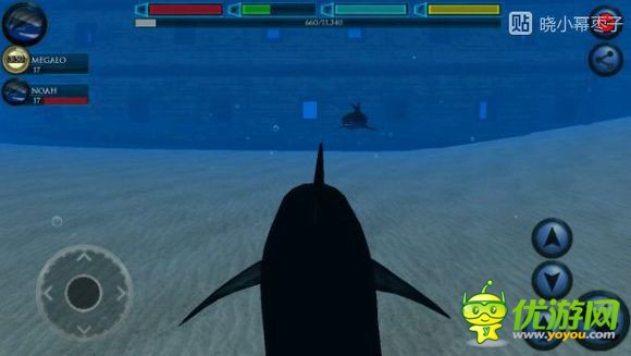终极鲨鱼模拟器家的位置详解