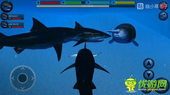 终极鲨鱼模拟器独角鲸boss位置详解