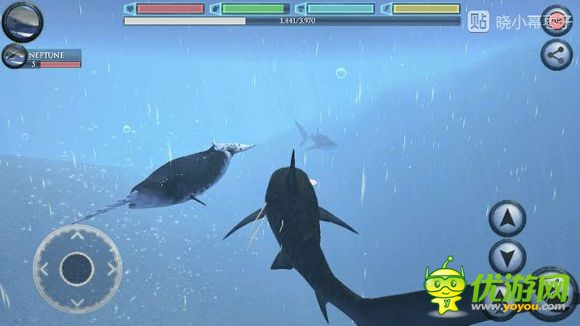 终极鲨鱼模拟器独角鲸boss位置详解