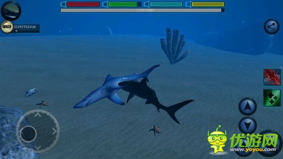 终极鲨鱼模拟器蓝鲨详解