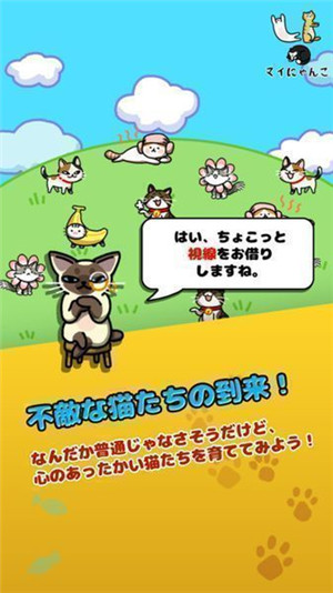 我的小猫一直在一起手游下载