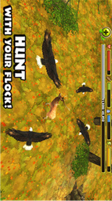 模拟猎鹰游戏下载截图欣赏