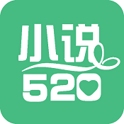 小说520