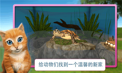 宠物世界3D我的动物救援所游戏截图