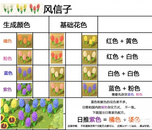 动物森友会花卉怎么种植 杂交花颜色配方与种植技巧介绍