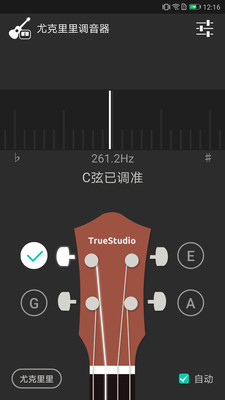 尤克里里调音器软件APP游戏截图