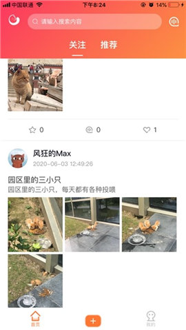 团纸日记截图欣赏