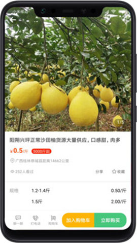 桃源明截图欣赏