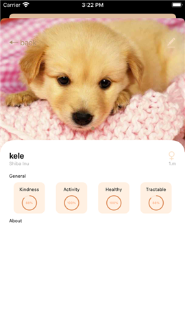 宠物狗狗记截图欣赏