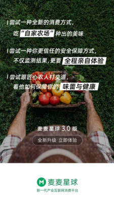 麦麦星球截图欣赏