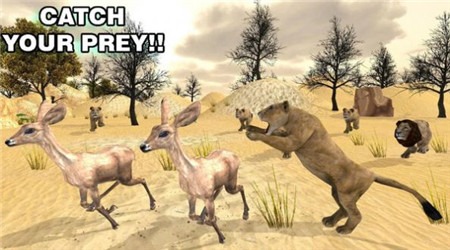 狮子王动物狩猎截图欣赏