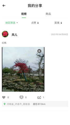 花木森林截图欣赏