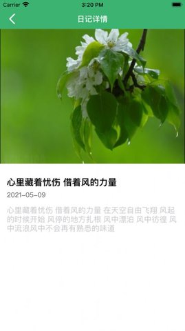 悠悠日记截图欣赏