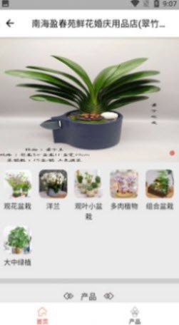 花满家截图欣赏