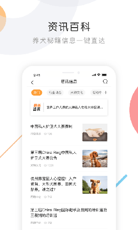 K9犬网截图欣赏