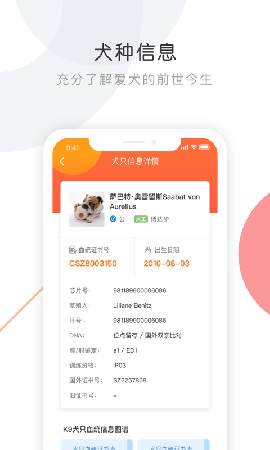 K9犬网截图欣赏