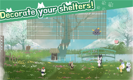 猫咪收容所截图欣赏