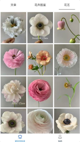 鲜花知识星球截图欣赏