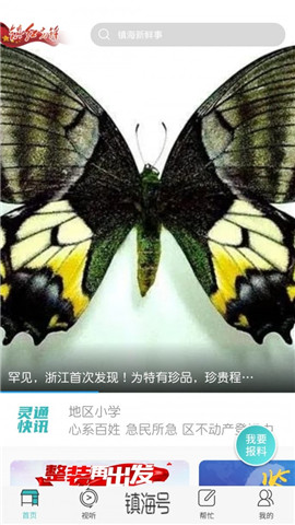 镇灵通截图欣赏