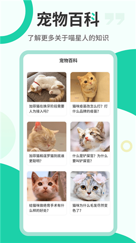 猫叫翻译机截图欣赏