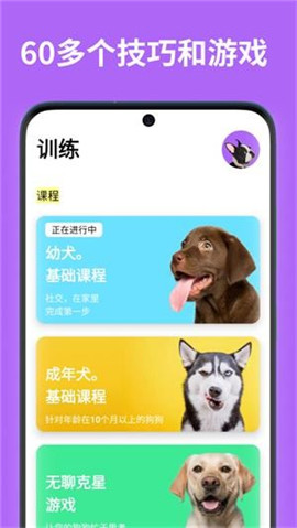 EveryDoggy截图欣赏