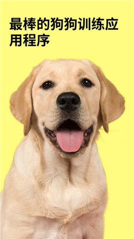 EveryDoggy截图欣赏