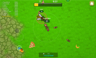 蚂蚁模拟3D截图欣赏