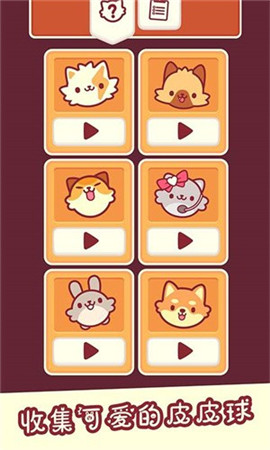 我是猫老大截图欣赏