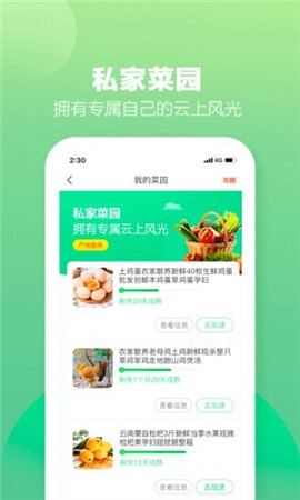 土淘金专业版截图欣赏