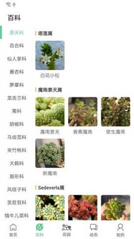 肉肉家截图欣赏