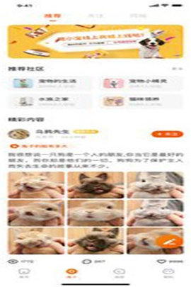 财猫双犬截图欣赏