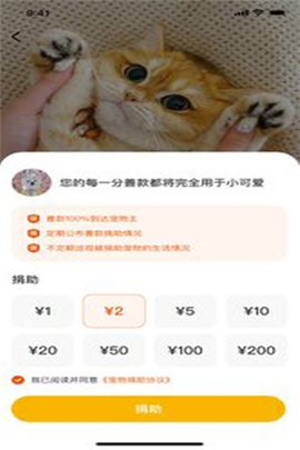 财猫双犬截图欣赏