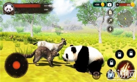 大熊猫狩猎截图欣赏