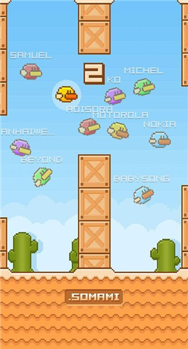 鸭子群飞截图欣赏