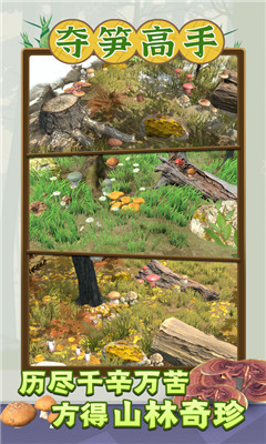 夺笋高手截图欣赏
