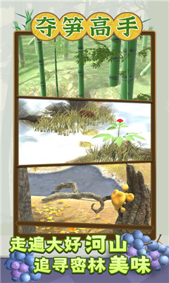 夺笋高手截图欣赏