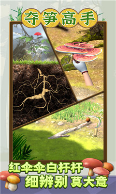 夺笋高手截图欣赏