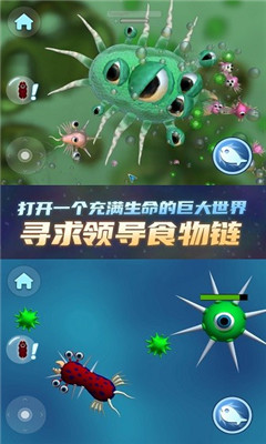 物种进化器截图欣赏