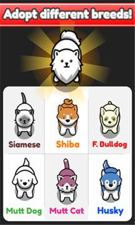 宠物闲置截图欣赏