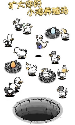 小鸡真奇怪