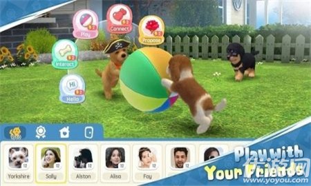 梦幻小狗截图欣赏