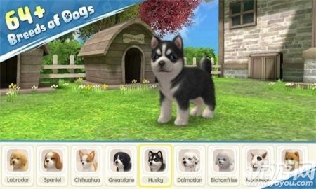 梦幻小狗截图欣赏