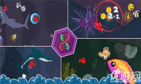 饥饿的小红鱼截图欣赏