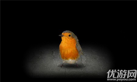 有丝分裂截图欣赏