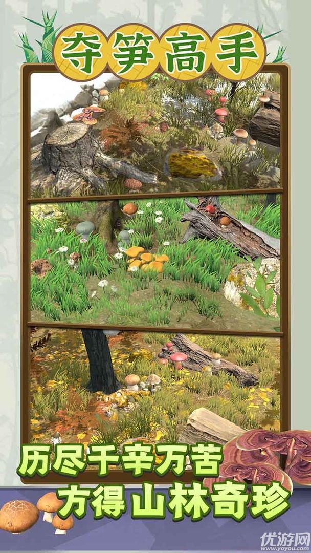 夺笋高手截图欣赏
