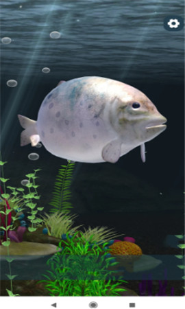 点击进化截图欣赏