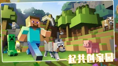 荒野世界游戏截图欣赏