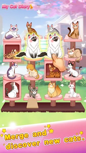 猫咪日记动漫公主换装截图欣赏