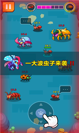 虫群王者截图欣赏